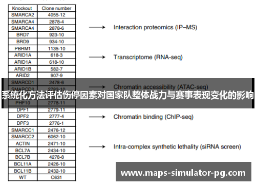 系统化方法评估伤停因素对国家队整体战力与赛事表现变化的影响 系统化方法评估伤停因素对国家队整体战力与赛事表现变化的影响